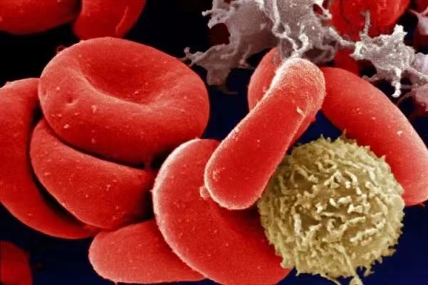 微信图片_20220704120506