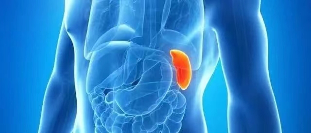 微信图片_20220704120516